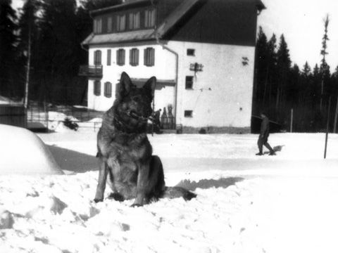 Foto 12